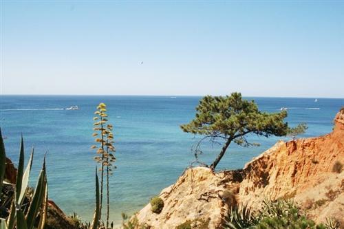 Apartamento Almerinda Albufeira Buitenkant foto